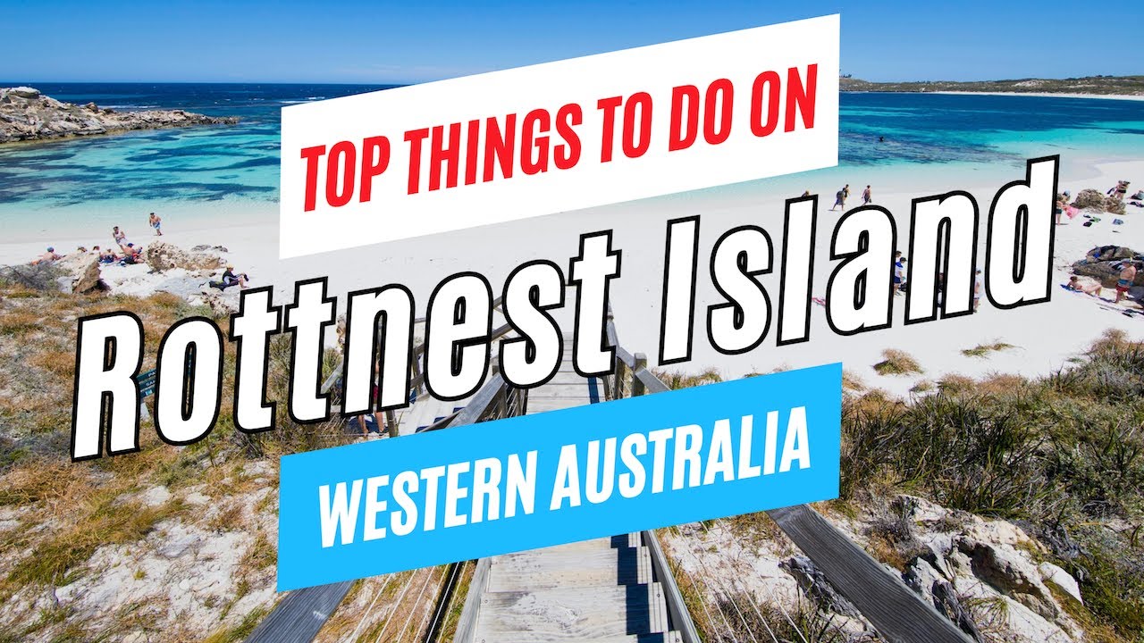 Discover the guide to exploring Rottnest Island.
