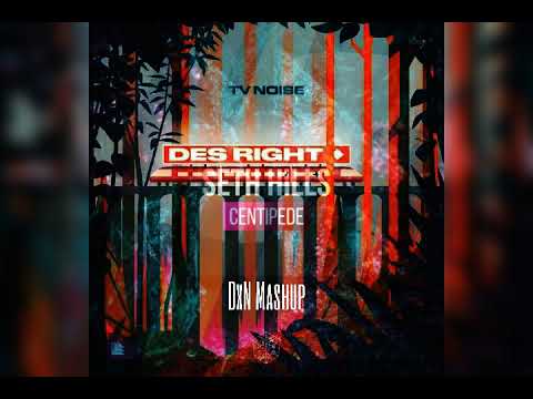 Des Right vs. Centipede (DxN Mashup) - TV Noise vs. Seth Hills