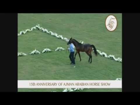 Ajman 2017 - Class 2B