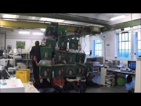 Bagstage - Making of Weihnachtsbaum