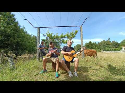 Zezé Fernandes - Ai quem me dera