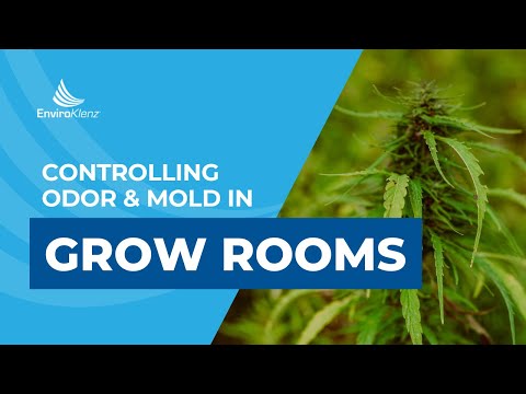 How To Control Odor and Mold in Grow Rooms