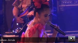 Download lagu BERCERAI MUDA yuznia zebro familys group #zebroholicbersatu mp3 Download lagu BERCERAI MUDA yuznia zebro familys group #zebroholicbersatu mp3