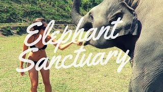 INCREDIBLE Elephant Sanctuary Experience - Chiang Mai, Thailand 2016 - YouTube