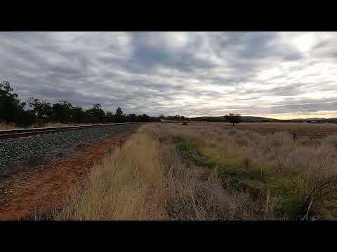 48103, 48144 & 48162 Gunningbland West NSW.  Sat 02nd April 2022