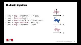 Student Video: Quantum Time Evolution Using the Split Operator Fourier Transform Algorithm