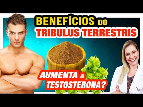 Tribulus Terrestris Aumenta a Testosterona? Benefícios, Como Funciona e Cuidados [Faz Mal?]