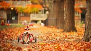 EDITH PIAF ~ Autumn Leaves (Les feuilles mortes)