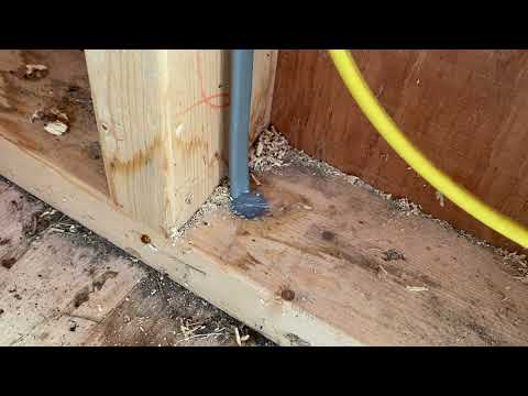 Mice Infesting Homeowners Shed in Freehold, NJ