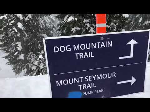Love Adventure Hike! Love Dog Mountain! Video