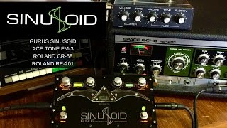 Video thumbnail for Gurus Sinusoid Demo ft. Roland CR-68, RE-201 Space Echo and Ace Tone FM-3 by Soundgas