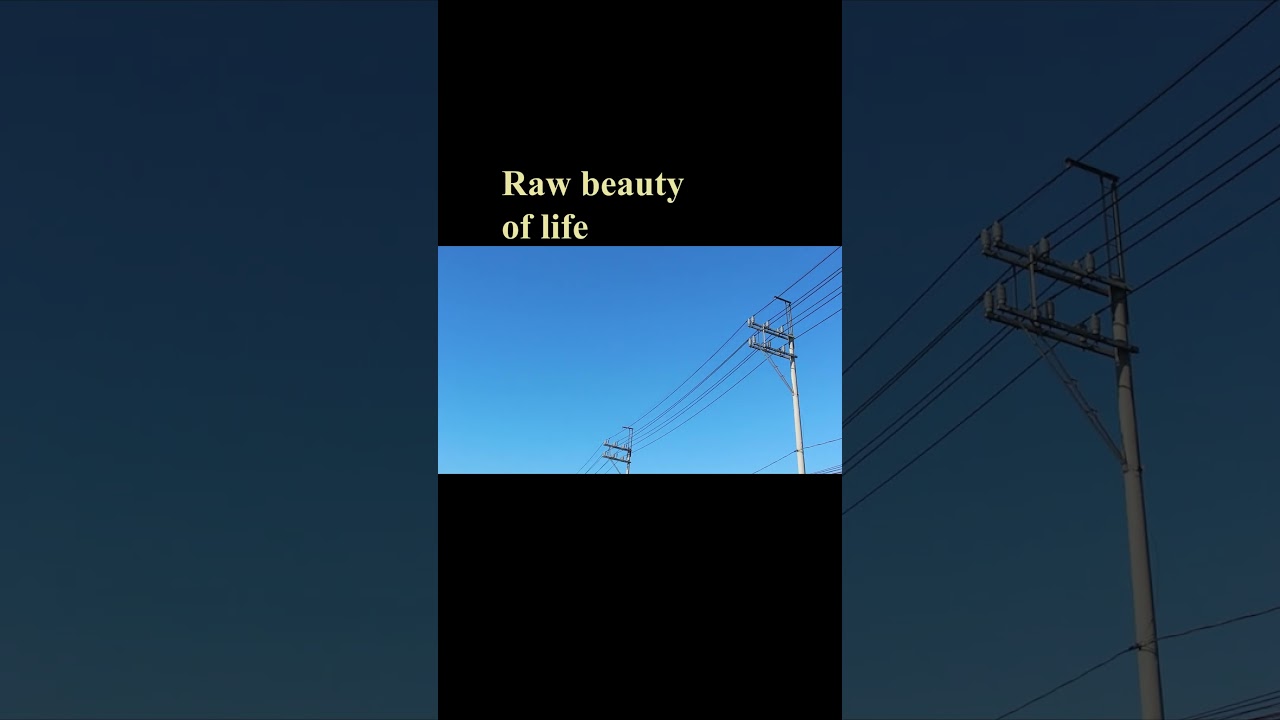 I admired filtered life only to neglect the real art of it. #shorts