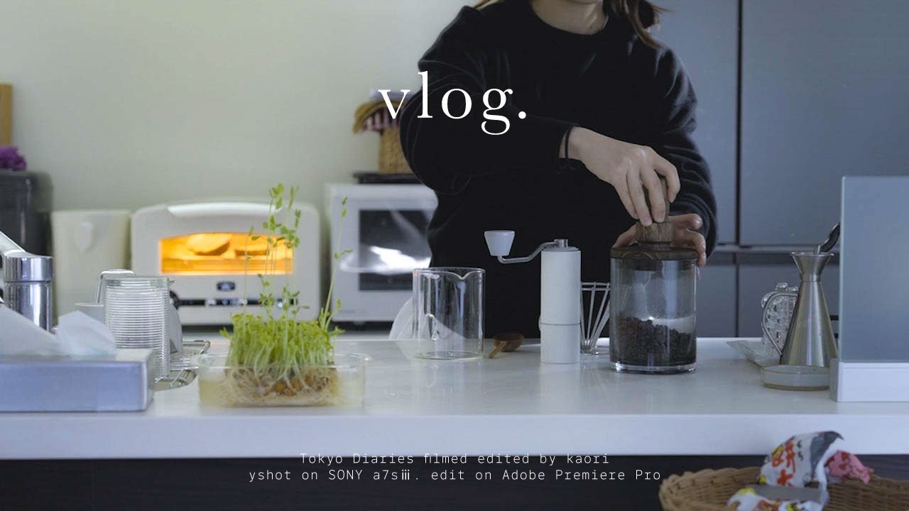 〈vlog〉ありきたりな日常を特別な一日にする方法｜お家好きの日常