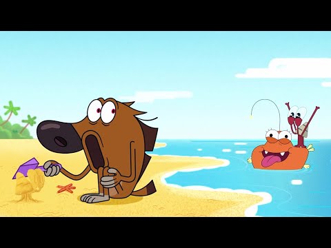 New friends | NEW The Adventures of Bernie | Zig & Sharko - Cartoons for Kids
