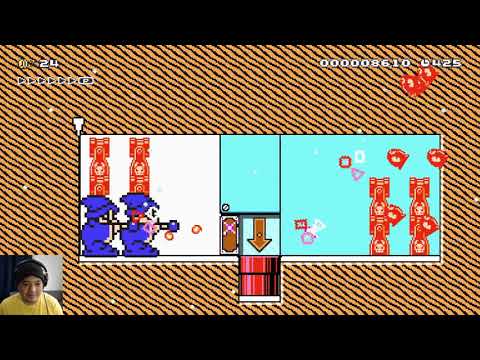 The Frozen Backwards Only Cave and Other Awesome levels - Super Mario Maker 2