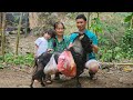 Life Is Fun When Smart Goat Helps Make Cake Ingredients Ly Phuc An