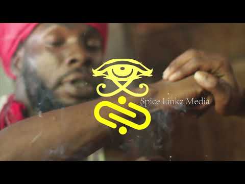 G RASS X D3BO -  NO EVIDENCE (VISUALIZER)