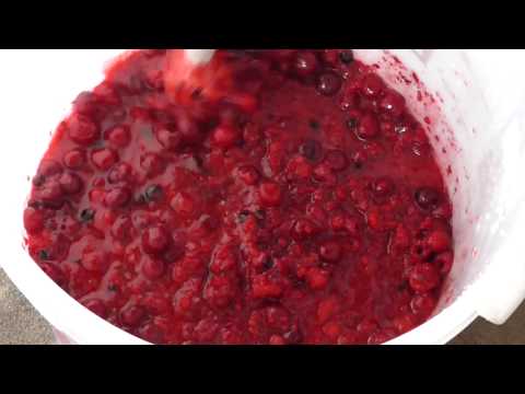 VLog Kirsch-Himbeerbrand herstellen #01: Die Maische