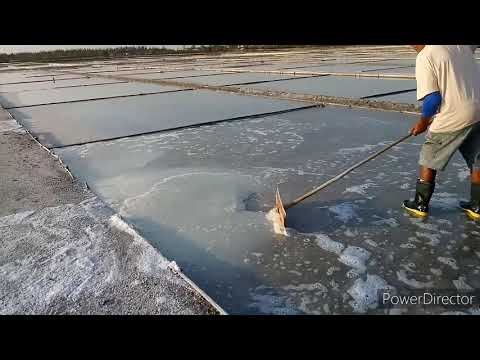 Conheçam a Flor de Sal...Saúde na sua mesa.