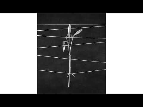 Trentemøller: Winter’s Ghost