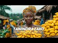 TANINDRAZAKO Afrobeat Gasy X Afrogasy Instrumental 2025