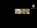 All 10 Baby Genius Trailers In 2006 At Once