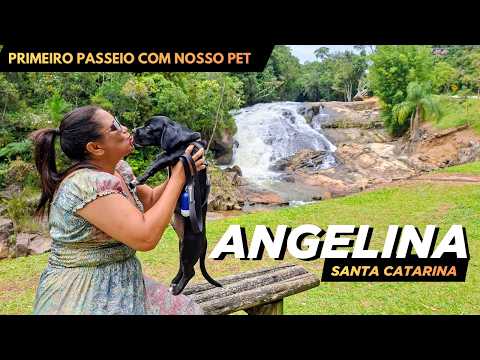 Angelina - Santa Catarina, primeiro passeio com nosso pet