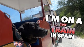 Montefrio, Spain. Tourist Train with our Dog Percy The Labrador. Ruta Turistica Montefrio