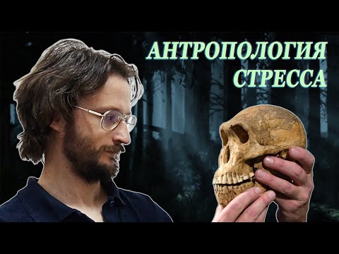 Антропология стресса - Станислав Дробышевский