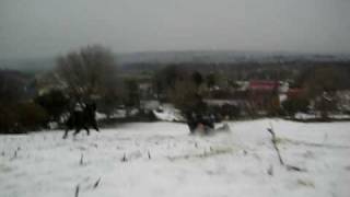 the big snow in sligo 2010.avi