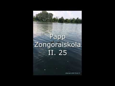 Papp Zongoraiskola II. - 25