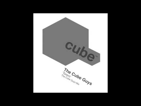 THE CUBE GUYS   