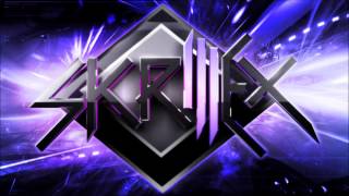 Birdy Nam Nam - Goin' In (Skrillex "Goin' down" Remix) aka Trap remix