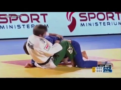 Judo Bundesliga Finale 2015 in Gmunden