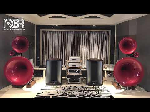 Perfect Sound Test Audio 24 Bit - Audiophile NBR Music