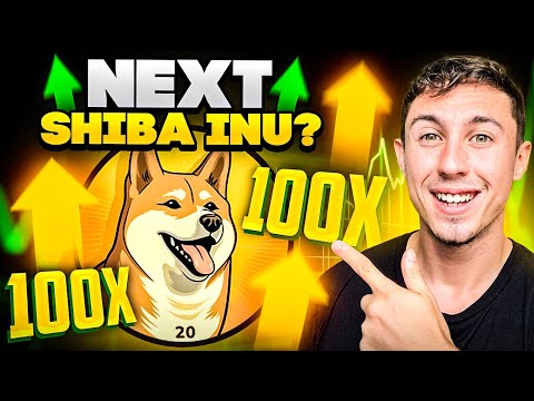 NEW 100X Potential Meme Coin - NEXT SHIBA INU or DOGE COIN?!