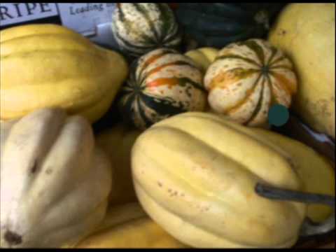 download lagu mp3 mp4 Hispanic Culture Food, download lagu Hispanic Culture Food gratis, unduh video klip Hispanic Culture Food