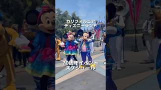 カリフォルニア・ディズニーランド70周年🇺🇸エンターテイメントまとめ🌈 #カリフォルニアディズニー #アメリカディズニー #海外ディズニー #ロサンゼルス