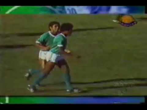 Palmeiras x Botafogo em Ribeirão Preto - assalto em 1977