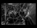 A.N.I.M.A.L. - Combativo