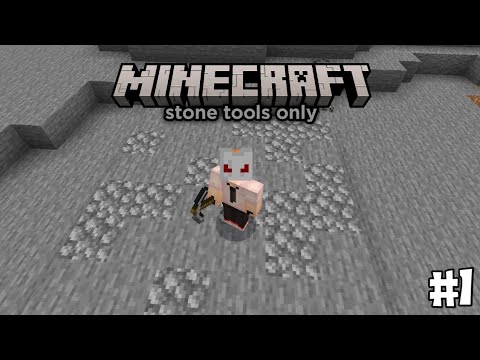 BlaziPlays  - I survive in Minecraft only with STONE PICKAXE CAPITAL