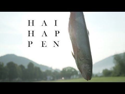 Haihappen (U-Ha-Ha) - Bonustrack Medimeisterschaften Heidelberg