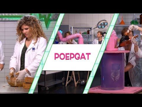HOE WEET JE DAT JE ALLEEN EEN SCHEET MOET LATEN OF ECHT MOET POEPEN?! - TOPDOKS LABEXPERIMENT