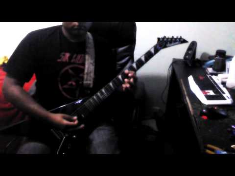 Raining Blood Guitar Cover [WITH SOLO]