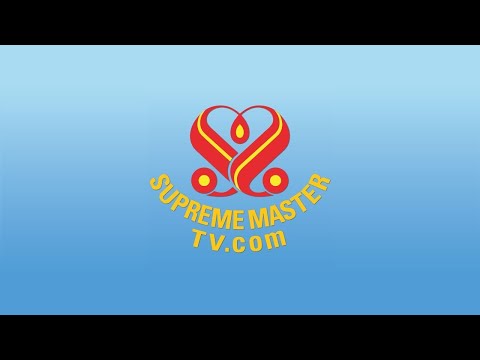 Between Master and Disciples (1+119,200Max)-The King of Peace and the King of Victory’s Gratitude