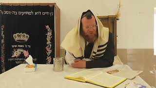 הלכה יומית | מוציא את חברו ידי חובה | הרב צבי חלמיש שליט"א