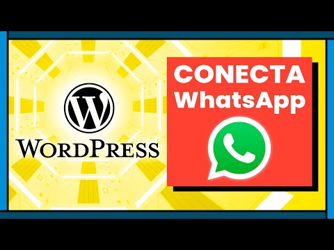  CMS vs MARKETPLACES ¿Qué son ¿Cuáles hay ¿Cómo seleccionar el que más te conviene