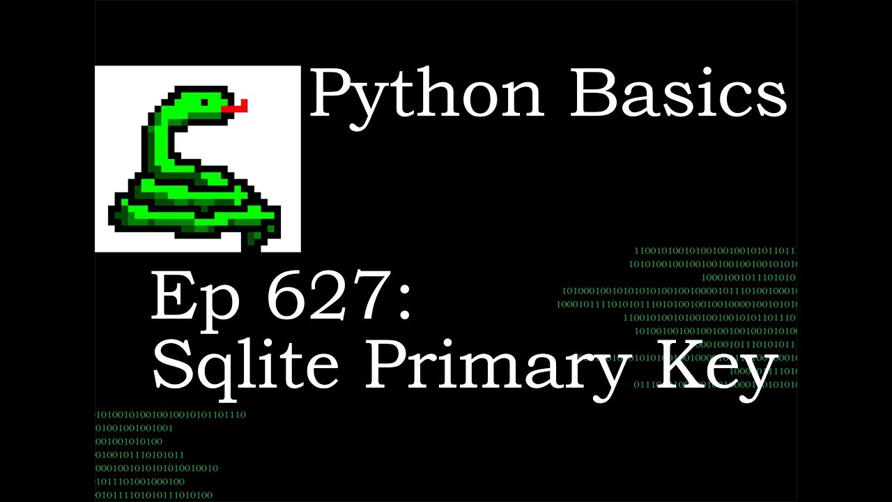 Python Basics Tutorial Sqlite Primary Key Auto Increment