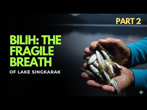BIlih : The Fragile Breath of Lake Singkarak | Part 2
