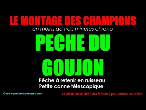Pêche facile du goujon en ruisseau, à retenir, à la petite canne télescopique